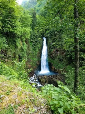 Водопад Медзибна - фото, описание, как добраться, что посмотреть,  стоимость, советы перед посещением
