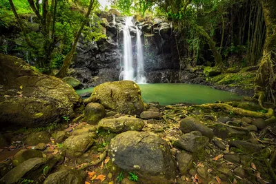 4 самых инстаграмных водопада Бали в районе Табанан - Indonesia Travel