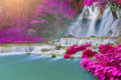 Фотообои Красивый водопад купить на стену • Эко Обои