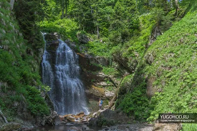 Фотообои Каскадный водопад в лесу №5778 купить в интернет-магазине ABC-Decor