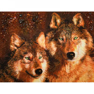 Европейский волк… Волчица Рада. :: Наташа ***** – Социальная сеть ФотоКто