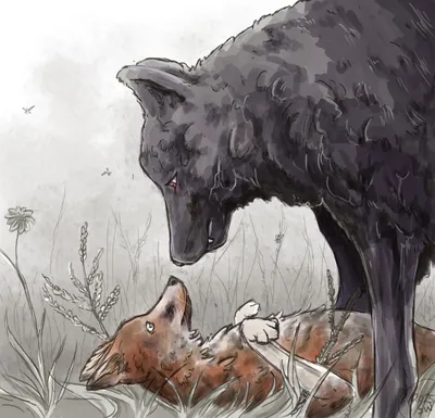 Вы заплачете, волк влюбился в лису, реальность - YouTube