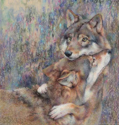 Лиса :: wolf :: fox :: animals :: волк :: живность :: fandoms :: фэндомы /  картинки, гифки, прикольные комиксы, интересные статьи по теме.