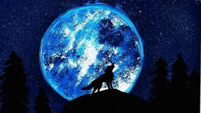 иллюстрация черного мультфильма волка, воющего на Луне Иллюстрация штока -  иллюстрации насчитывающей койот, график: 247507695
