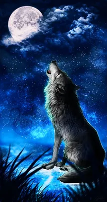 Волк воет на луну арт - 34 фото