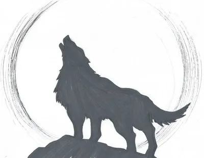 силуэт волка, собака арктического волка, футболка Three Wolf Moon, вой в  полнолуние, tshirt, млекопитающее, животные png | PNGWing