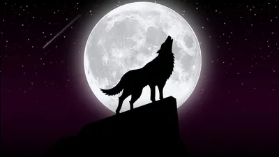 Волк воет на луну (50 фото) - 50 фото