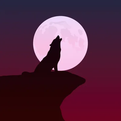 Как нарисовать волка воющего на луну - 33 фото