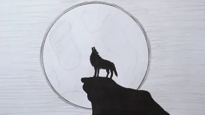 Как нарисовать вой волка поэтапно 4 урока