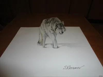 Попробовал изобразить волка | Пикабу