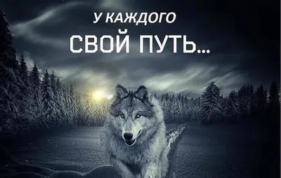 Картинки волков с надписью фотографии