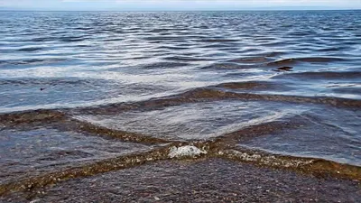Ученые: На Черном море могут быть цунами - KP.RU