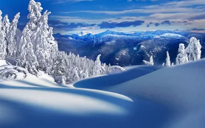 волшебная зима стоковое фото. изображение насчитывающей румыния - 68408276
