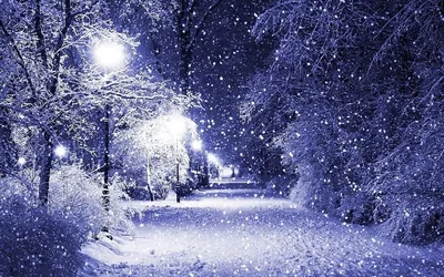 Волшебная зима | Философия для жизни | Дзен