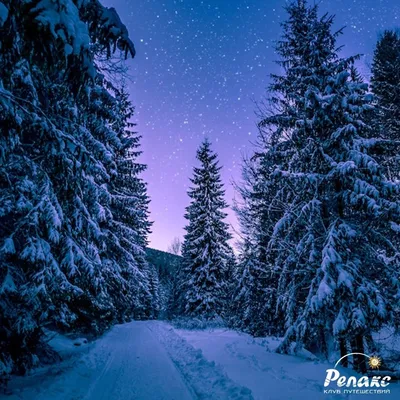 Волшебная зима в горы стоковое изображение. изображение насчитывающей свет  - 103616919