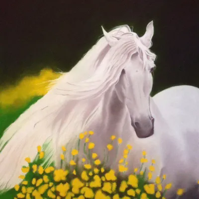 Волшебные фотографии лошадей, которые живут на острове Камберленд (15 фото)  » Картины, художники, фотографы на Nevsepic