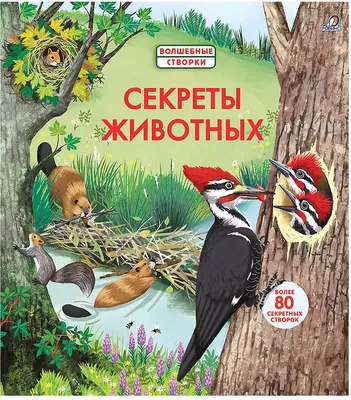 Креативные эмалевые булавки в виде волшебных животных, кошек, черных кошек,  книг, метлы, зелья в бутылке, брошь из сплава, значки в стиле панк, Женские  Ювелирные изделия, подарок | AliExpress