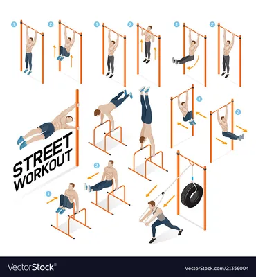 Street workout exercises Royalty Free Vector Image