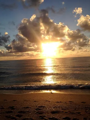 Красивый, красочный и контрастный закат над морем, океаном. Горячее солнце  освещает просторный пейзаж, отбрасывая блики лучей на водную гладь. Яркий солнечный  восход. Путешествие и туризм. Stock Photo | Adobe Stock