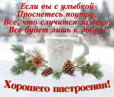 воскресенье #наработу #тольятти #юмор #цитаты #я #зима | TikTok