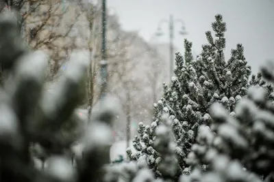 Белое воскресение в Одессе: любуемся заснеженными улицами города | Новости  Одессы