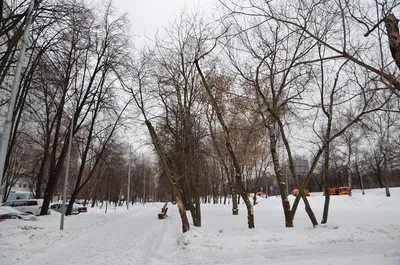 В Волгоградскую область на субботу, воскресенье, понедельник вернется зима  | ОБЩЕСТВО: Персона | ОБЩЕСТВО | АиФ Волгоград