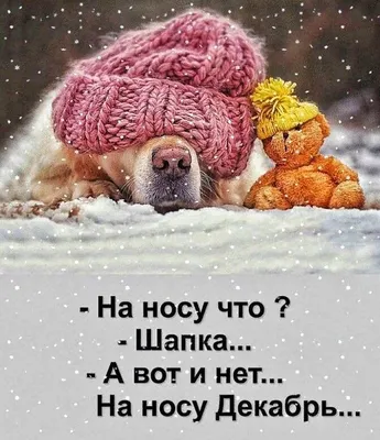 Вот и зима на пороге :: Olga F – Социальная сеть ФотоКто