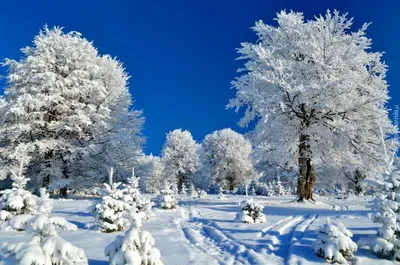 Вот и зима наступила: в Краснодаре до -6 градусов