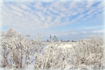 Вот моя деревня. Такая разная зима