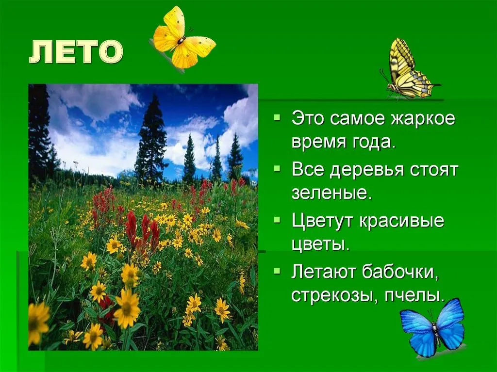 Любимое время года лето рассказ. Описание лето для детей. Проект на тему лето. Рассказ о лете. Презентация лето.