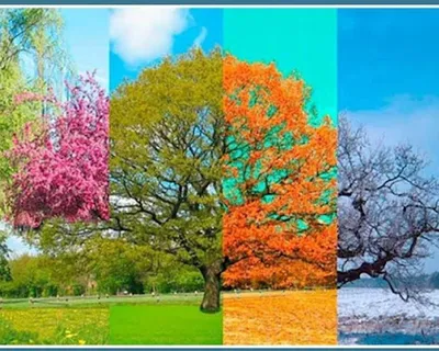 времена года набор иконок. иконки: лето, весна, зима, осень  Stock-Vektorgrafik | Adobe Stock