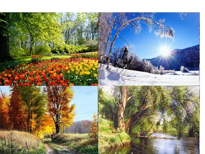 Времена года в картинках: Зима; Весна; Лето; Осень. Гном. | Не указано -  купить с доставкой по выгодным ценам в интернет-магазине OZON (825094033)