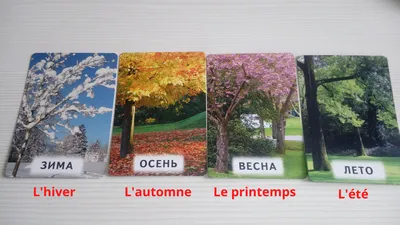 Винтаж: Времена года Villeroy Boch любовь к жизни зима весна лето осень  солнце в интернет-магазине Ярмарка Мастеров по цене 14444 ₽ – PE6NKBY |  Предметы интерьера винтажные, Санкт-Петербург - доставка по России