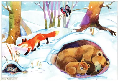 времена года зима для детей - Google Търсене | Иллюстрации и плакаты, Зима,  Милые рисунки