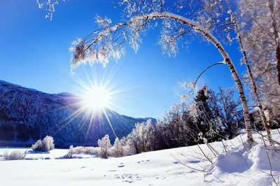 Рисунок Любимое время года - зима №194007 - «Зимняя сказка» (18.12.2023 -  04:15)