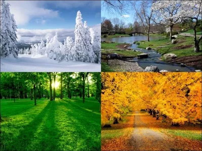 Времена года зима - фото и картинки: 58 штук