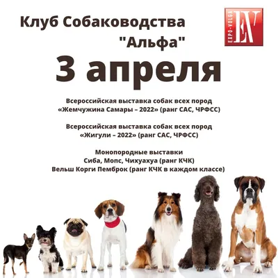 Содержание и рацион служебной собаки — ProPlan.ru