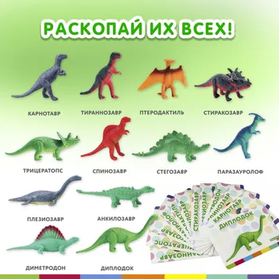 Набор для раскопок 12 видов динозавров, карточки, инструменты, развивающий,  BRAUBERG KIDS, 664923 (664923) купить в Москве с доставкой —  интернет-магазин «Люстроф»