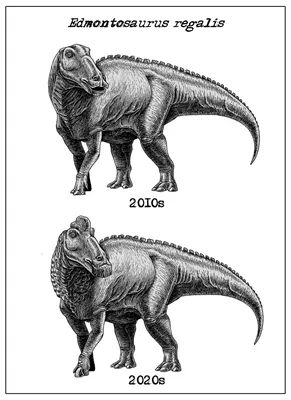 10 видов динозавров, которые ярче всего изменились за последнее десятилетие  | Пикабу