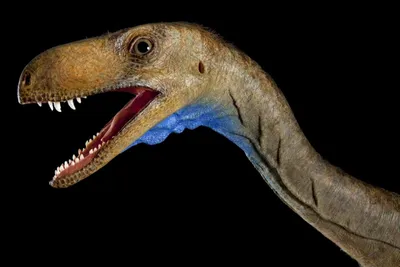10 недавно открытых динозавров