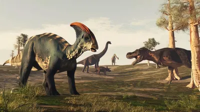 Парк юрского периода»: можно ли воскресить динозавров? — Dino Farm