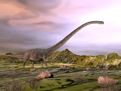 В Китае обнаружены два новых вида динозавров