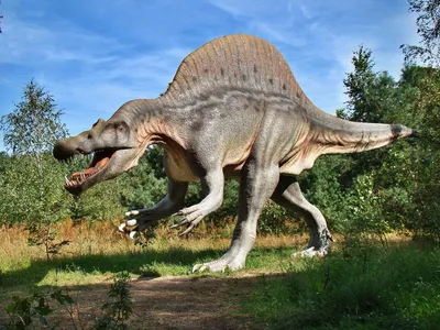 Виды динозавров, которые популярны в наши дни