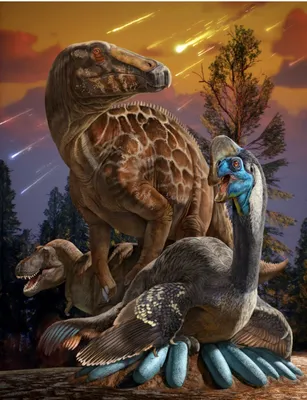 Конструктор SY1500 SY Мир динозавров: 8 разных динозавров купить за 0₽ со  скидкой в интернет-магазине BOOTLEGBRICKS.RU