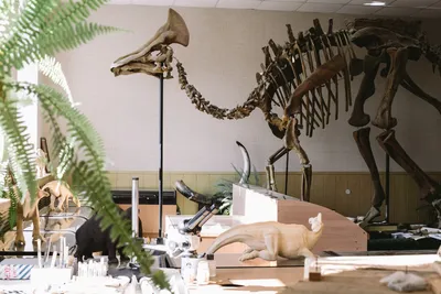 Сравнение всех динозавров из Мира и Парка Юрского периода - YouTube