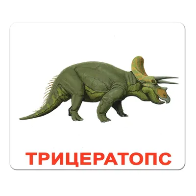 Динозавры. самая реалистичная энциклопедия Эксмо по цене 2 600 руб. -  купить в Новосибирске в LUKSE, арт ЭКС978-5-00195-743-0