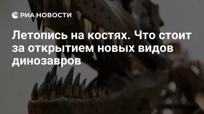 Динозавры – виды, список с изображениями, названия, описание, когда жили,  где обитали, видео - Научно-популярный журнал: «Как и Почему»