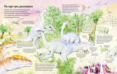 russian по низкой цене! russian с фотографиями, картинки на виды динозавров  для детей.alibaba.com