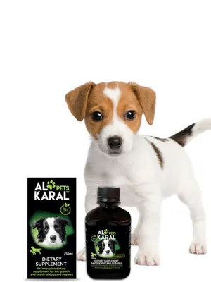 Биологическая добавка Al Karal Pets для собак 250мл купить в Москве -  интернет-магазин \"Электропастух\"