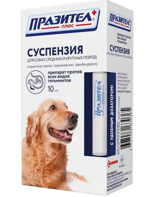 Сухой корм для щенков собак всех пород, Shelly, с ягненком купить с  доставкой в интернет-магазине зоогастроном.ру